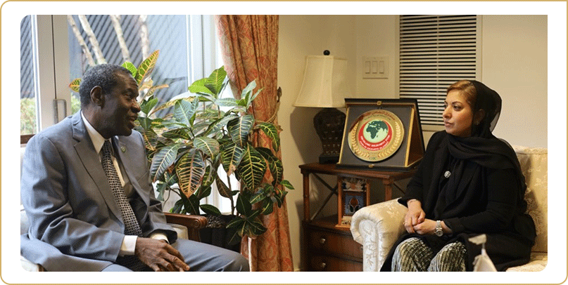 WDO’s Executive Director met with OIC Permanent Observer to the UN